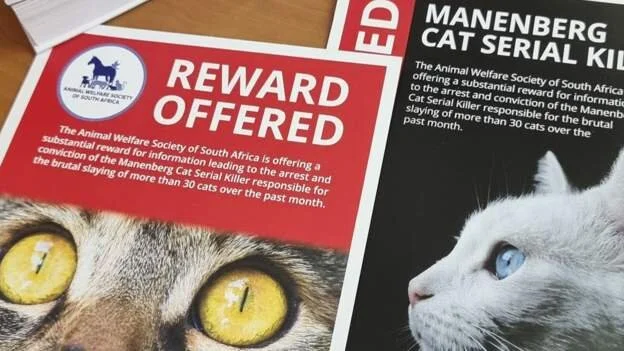 South African police hunt serial cat-killer