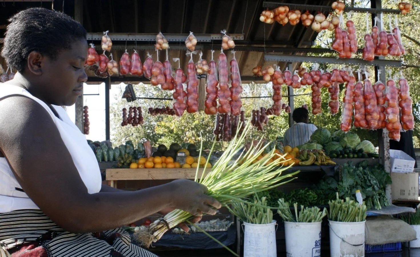 Zimbabwe: 50,000 Communal Farmers Set to Benefit From Ambitious U.S.$3 Million Buy-Back Investment