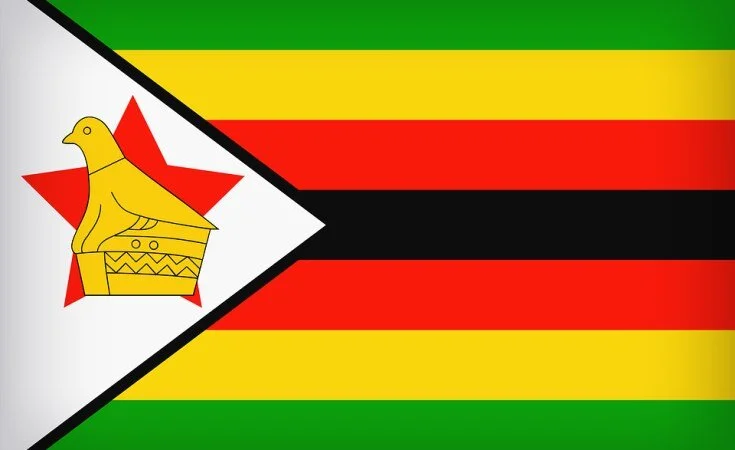 Zimbabwe: 3 Million Zimbabweans in Need of Food Aid in 2022 - FAO