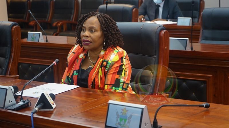 Zimbabwe: Govt in Ambitious Plan to Build 3 000 New Schools By 2025 - Minister