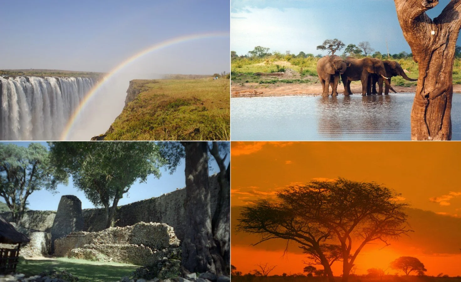 Zimbabwe: How Zim's Tour Guides Are Breaking Gender Barriers