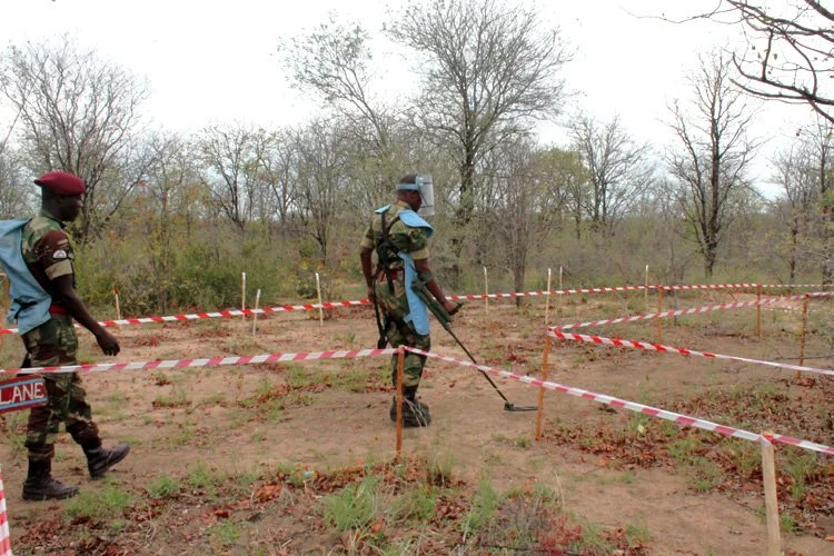 Zimbabwe: Switzerland Avails U.S.$1 Million for Demining in Zimbabwe