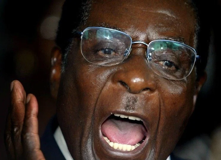 Zimbabwe: Book On Mugabe's Fall Out in March