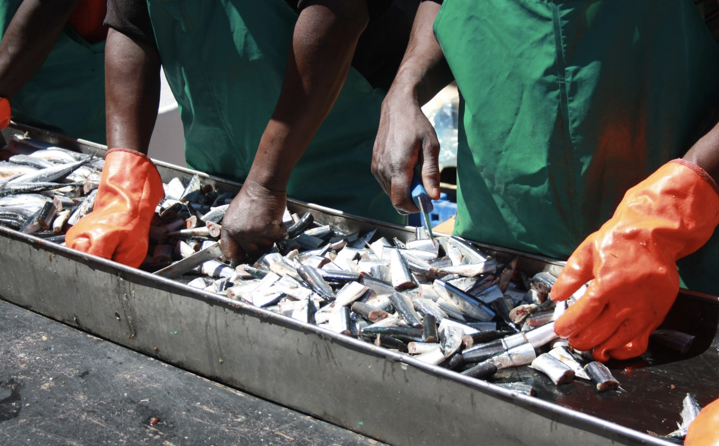 Namibia: Ex-Samherji Fishermen Desperate for Jobs