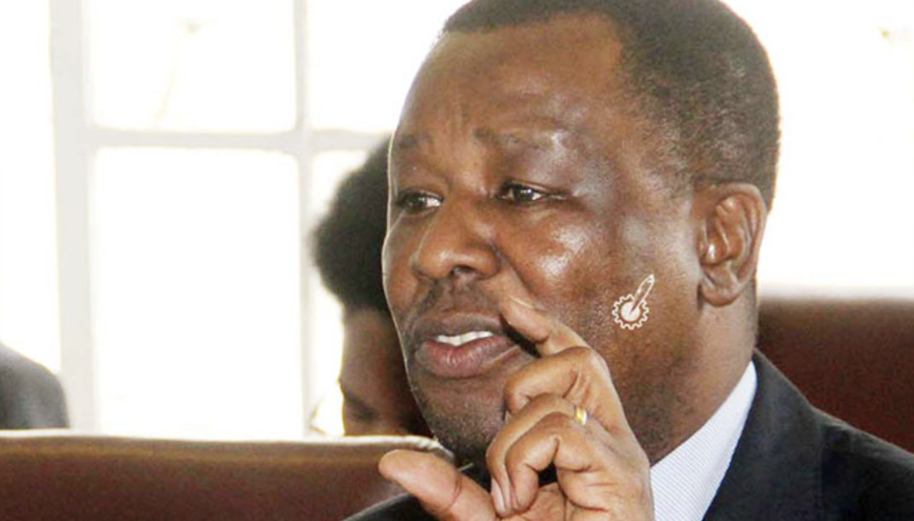 Zimbabwe: Natural Capital Audit Critical for NDS1 Goals