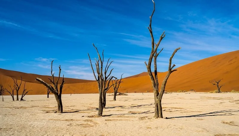 Namibia: SADC Legally Commits to Fighting Climate Change