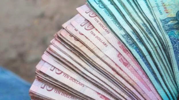 What is behind Zimbabwe’s currency crash?