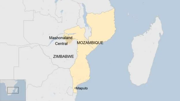 Mozambique bans Zimbabwe meat after foot-and-mouth found