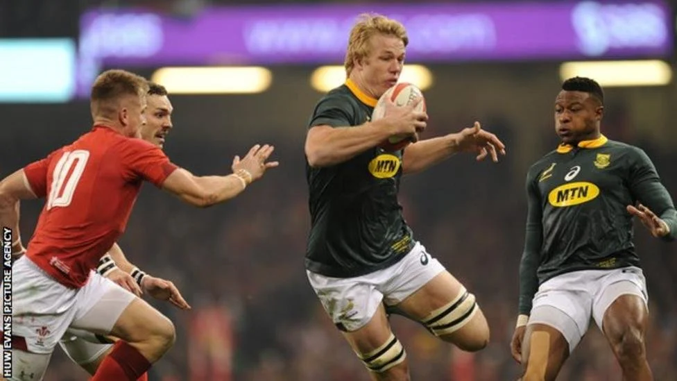 South Africa v Wales: Springboks back row Pieter-Steph du Toit ruled out of opening Test