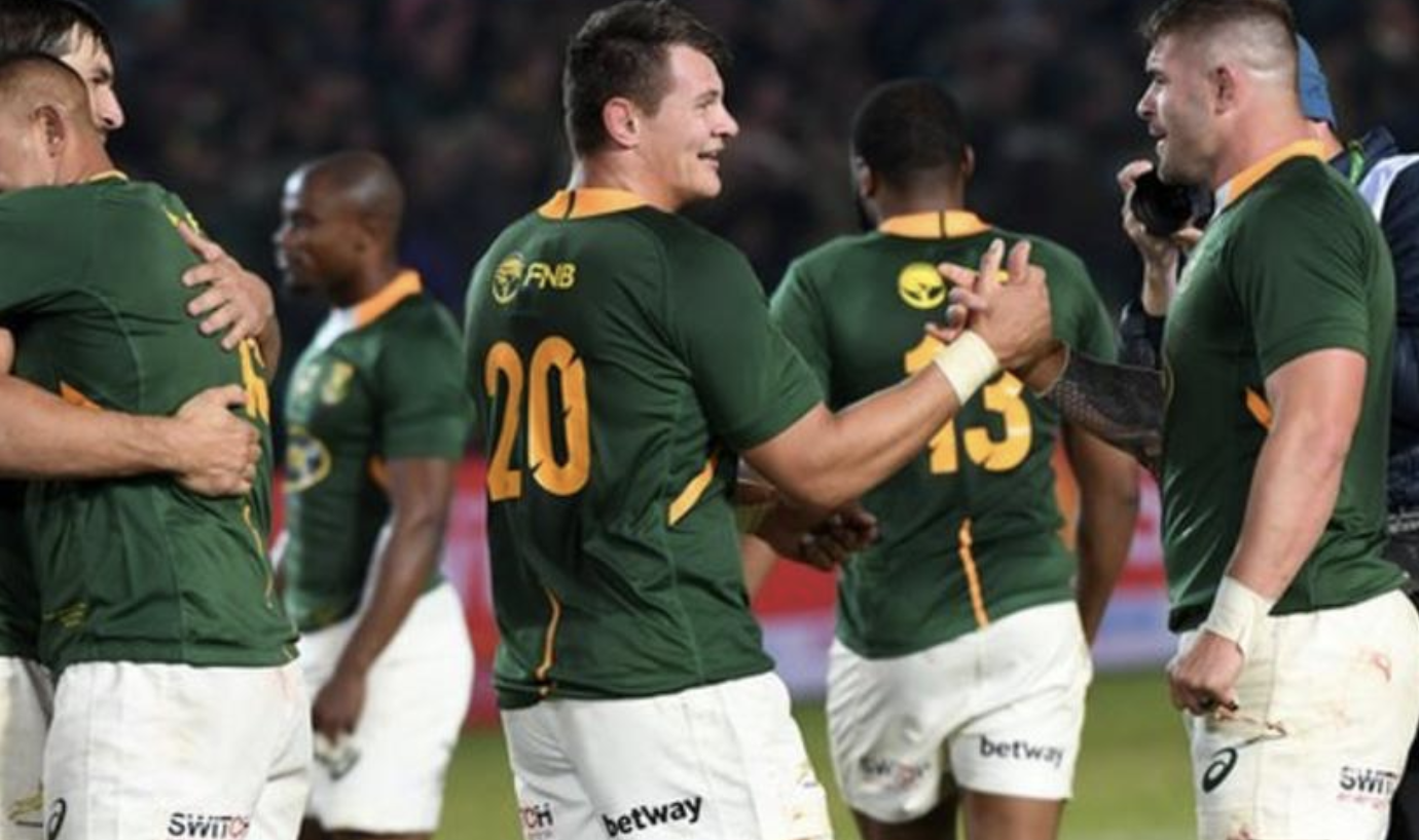 Bristol Bears will play world champions South Africa in November