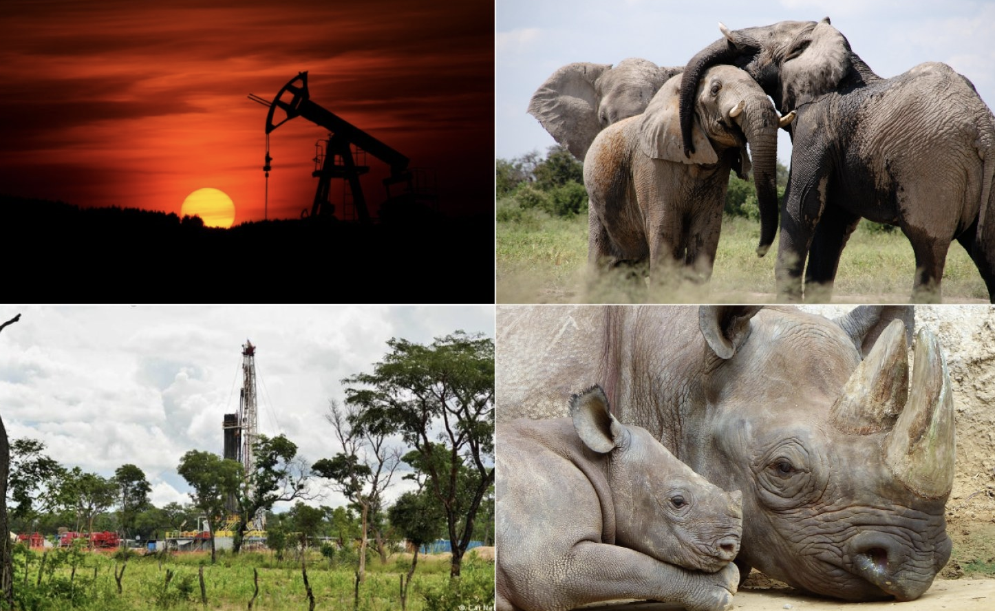 Namibia: Bid to Stop ReconAfrica Spills Into Court