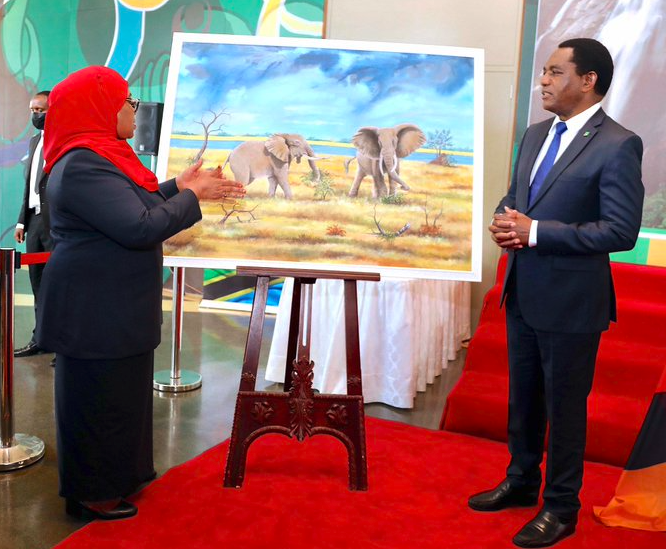 Hichilema Vows to Leverage On Dar-Lusaka Historic Ties