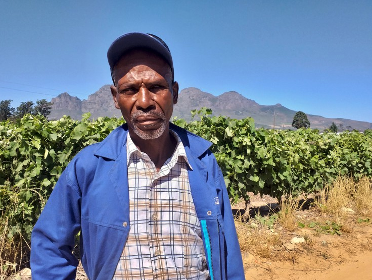 South Africa: High Court Victory for Former Farm Worker From Wellington