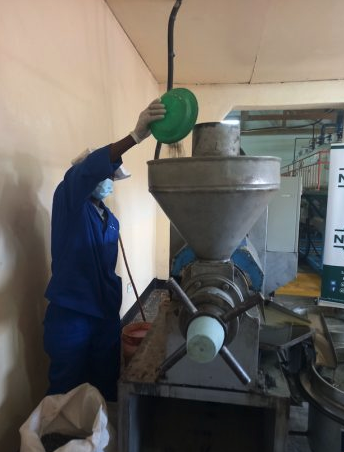 Malawian Farmers Reap More From Sunflower, Chillies