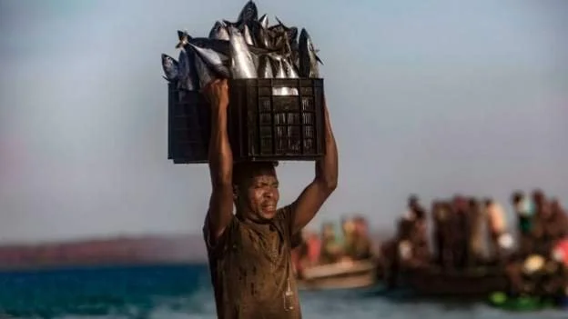 Mozambican fishers compete for catch with trawlers