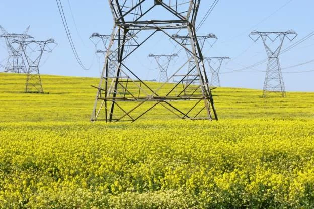 SA signs renewable energy deals amid outages