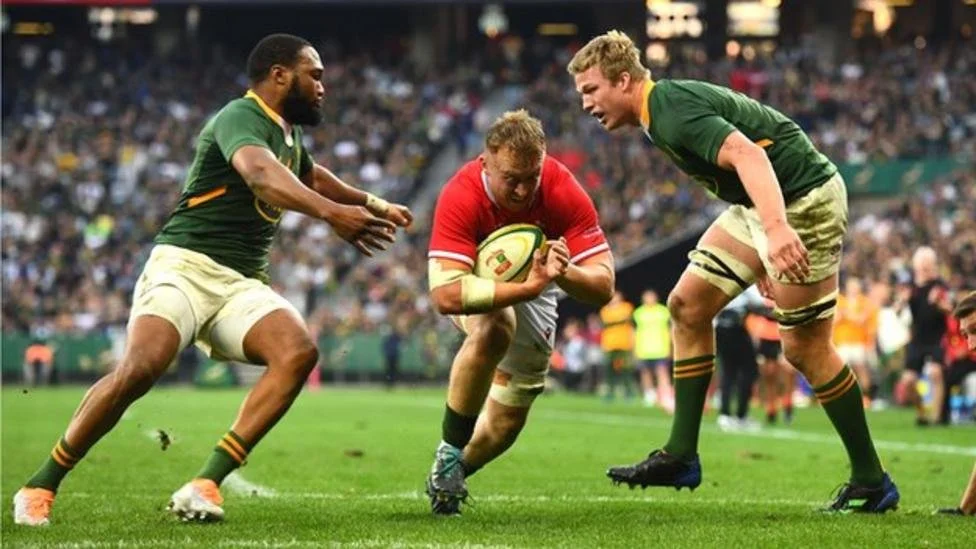 Wales to face reigning champions South Africa and England twice in summer World Cup warm-ups