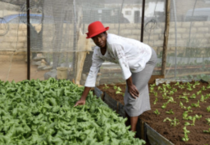 South Africa: Land Bank, Dalrrd Relaunch Blended Finance Scheme