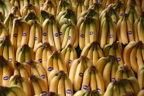 Mozambique: Maputo Province Exports Over 220,000 Tonnes of Bananas