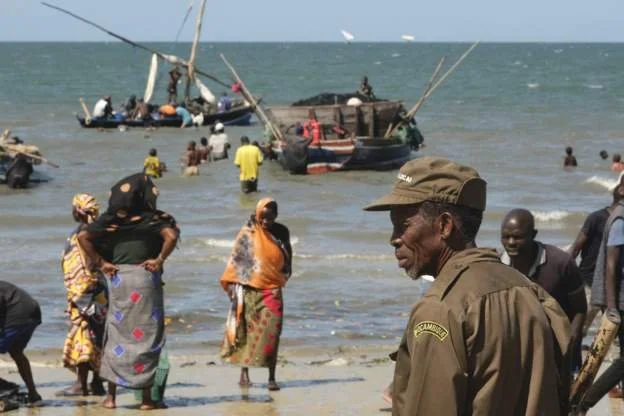 Mozambique approves local militias in jihadist fight