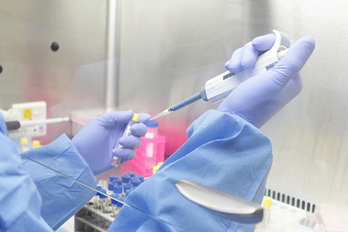 Namibia: Govt Monitors Covid Variant Closely