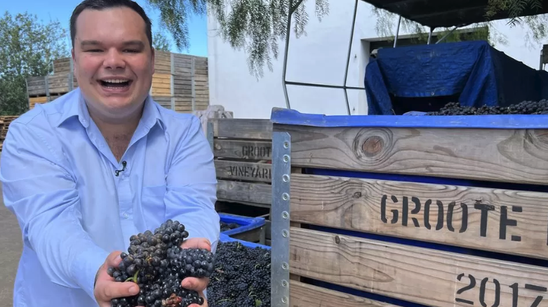 South Africa's power cuts hit vineyards: No power, no pinot