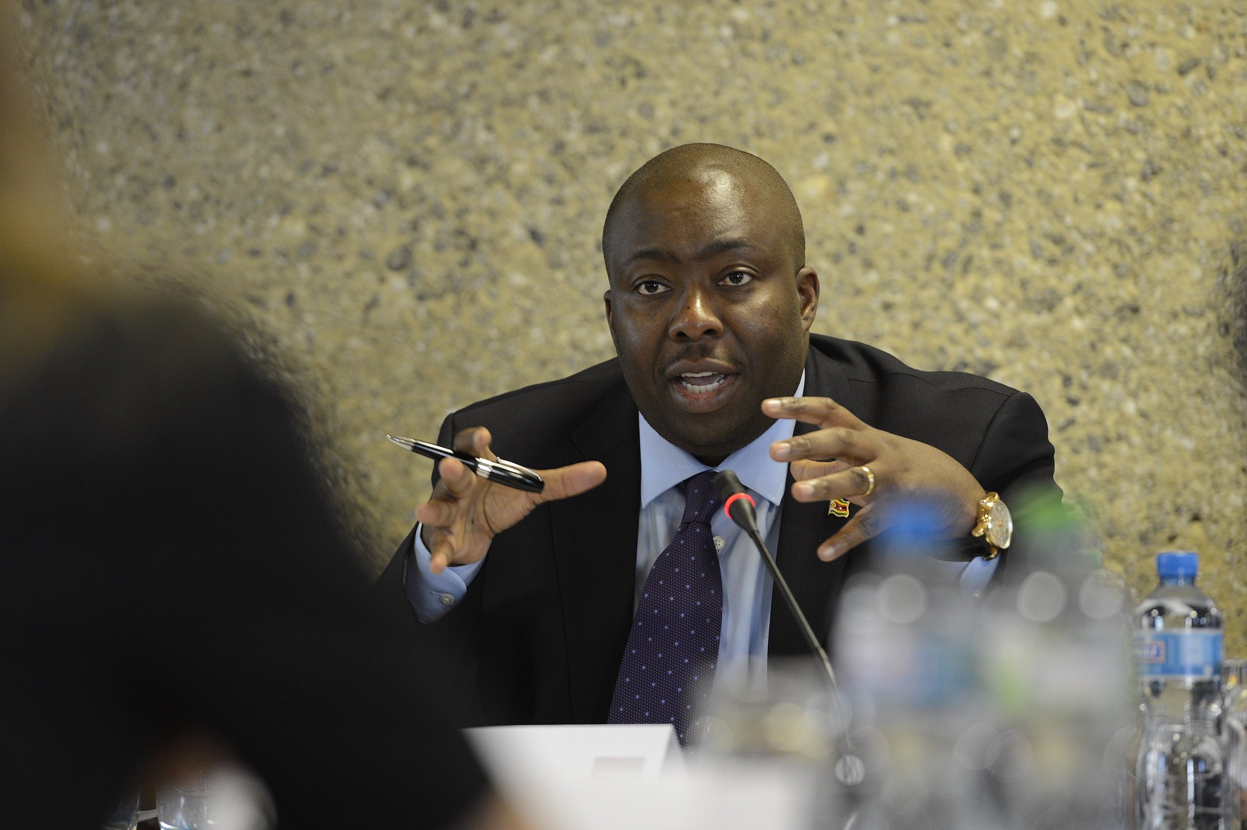 Mugabe Loyalist Barred from Running for President