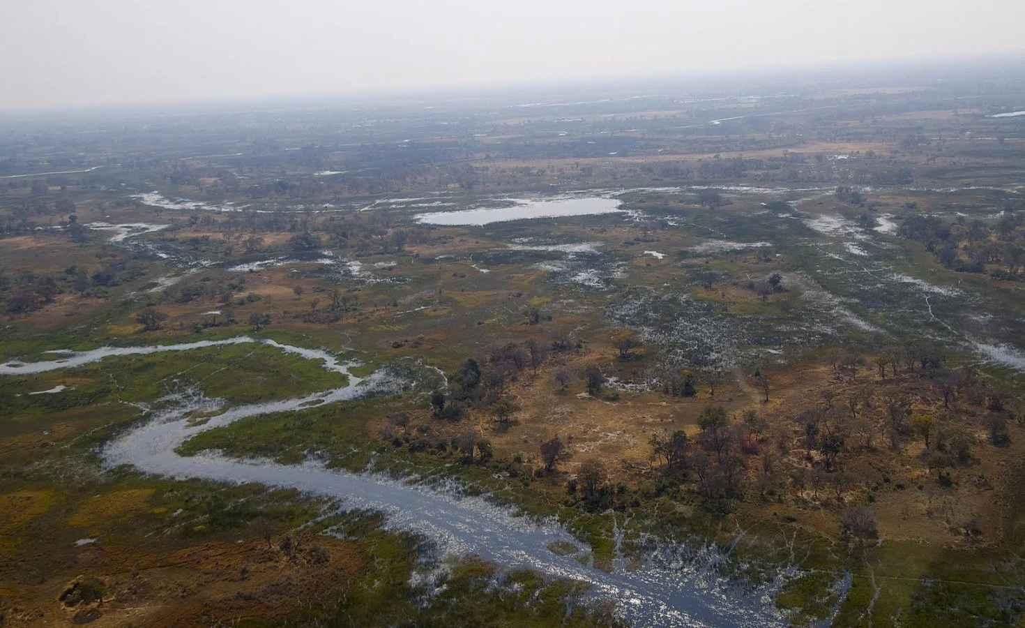 Namibia: Oil Drilling Threatens the Okavango River Basin, Putting Water in Namibia and Botswana At Risk