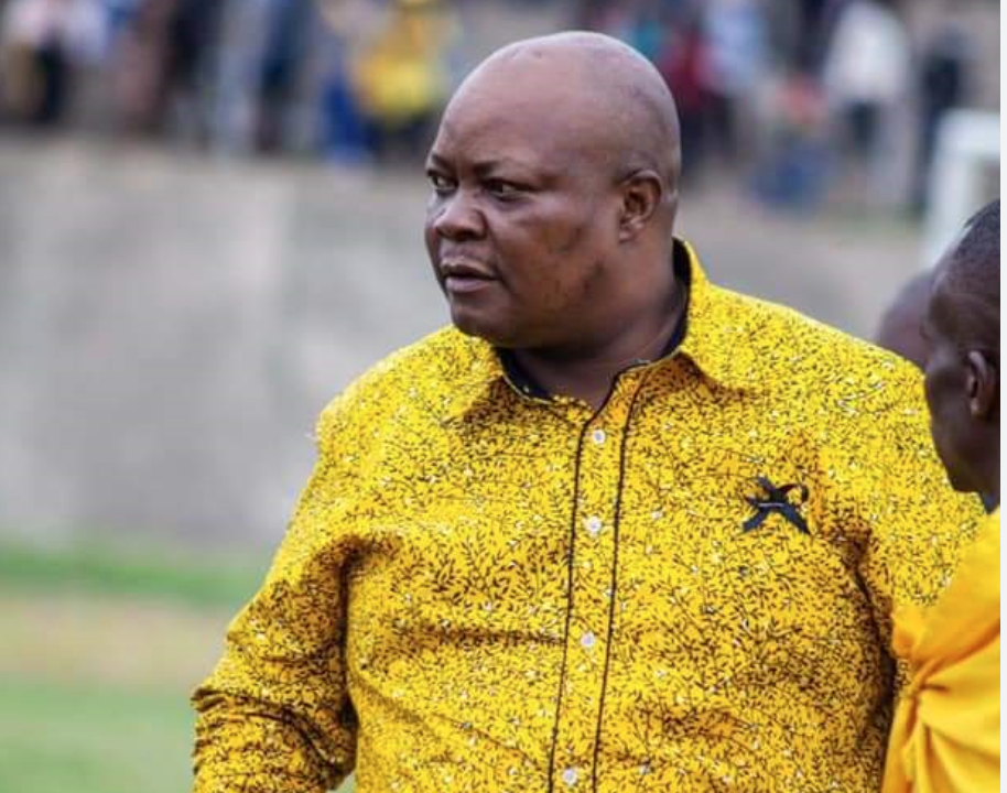 Zimbabwe: Chamisa Promises Political Prisoners, Sikhala, Ngarivhume Immediate Release in Party's Blueprint