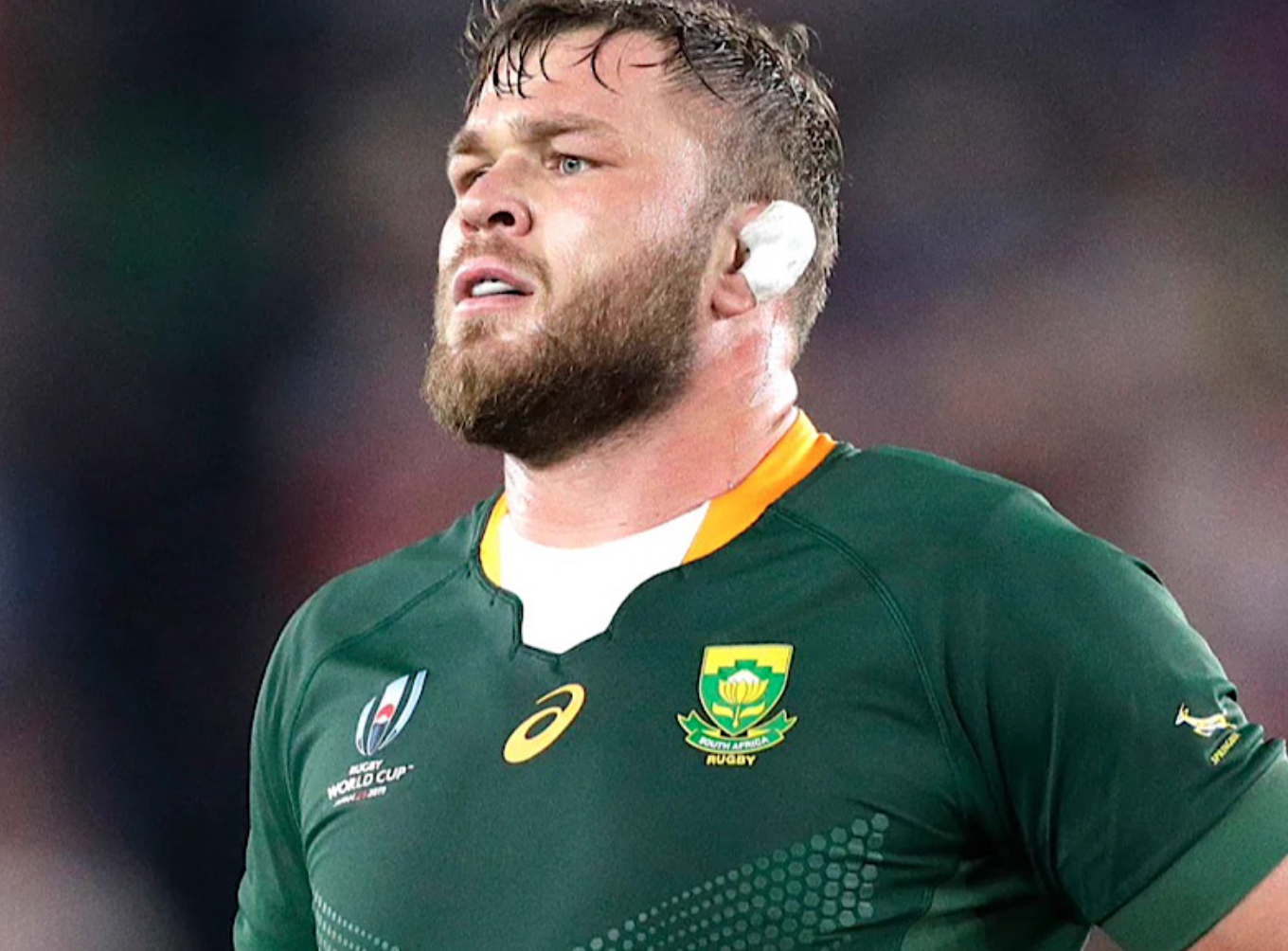  South Africa: Solid Bok Team to Face Scotland
