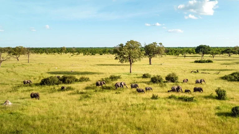 One million pound boost for Hwange National Park conservation