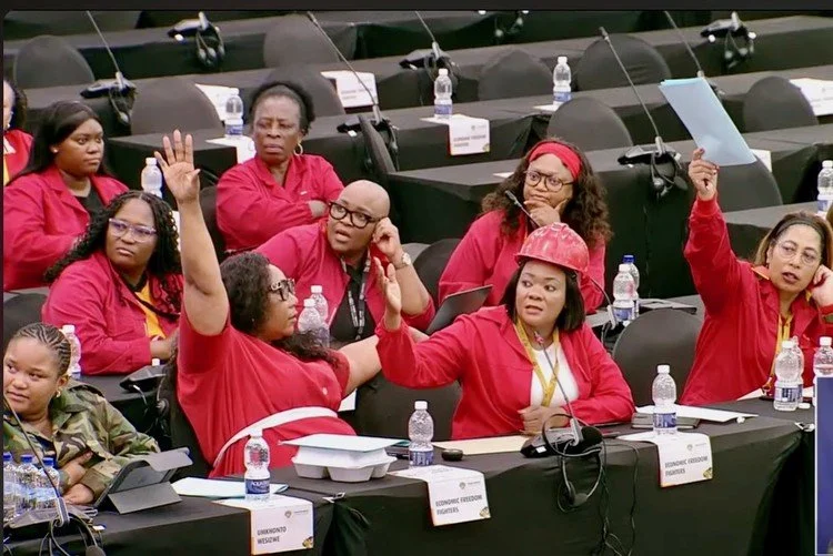 South Africa: Chaos in Parliament As Debate On New Lottery Board Chair Explodes