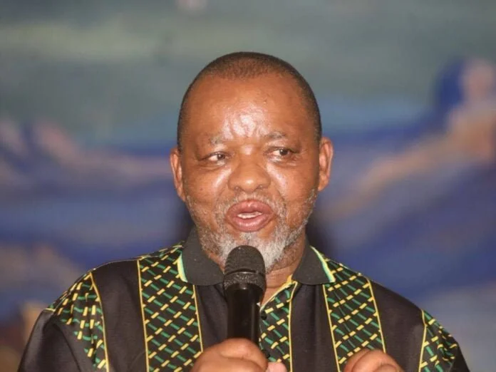 South Africa: Mantashe Tells South Africans Not to Panic Over Fuel Shortages