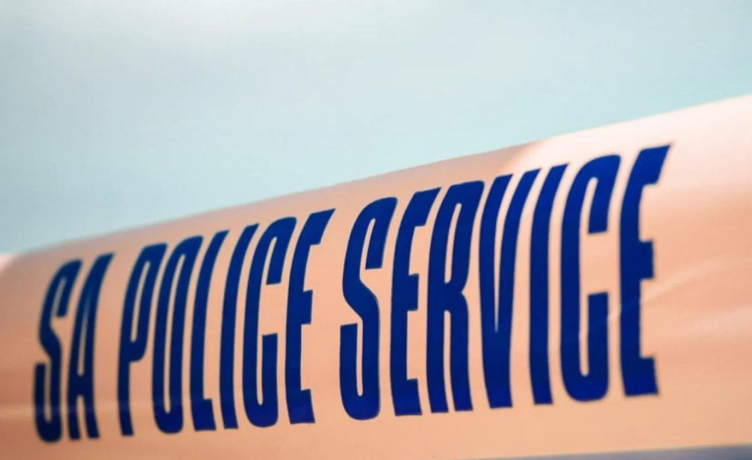 South Africa: Government Calls for Calm After Kugompo Erupts Over Crowning of Nigerian 'Igbo King'