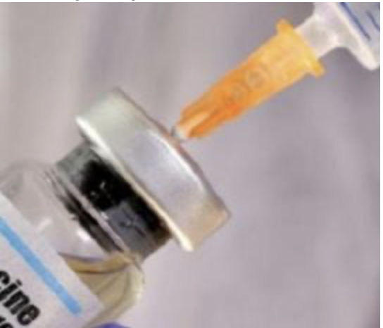 South Africa: Committee Calls for Ongoing Public Engagement On Hantavirus Case in SA