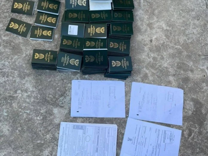 Africa: Illegal or Legal? Here's How South Africa's Work Visas Really Work