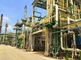 Angola: Cabinda Province's Environmental Awareness to Reach 30,000 Residents By 2027