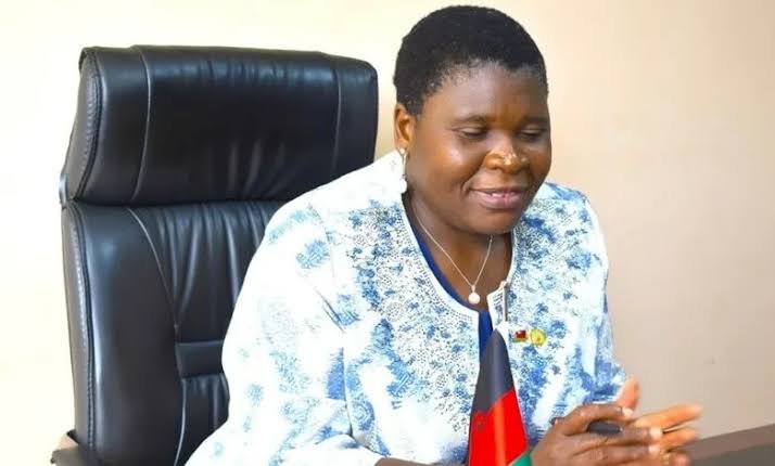 Malawi's Mining Minister Urges Stronger Private Sector Investment