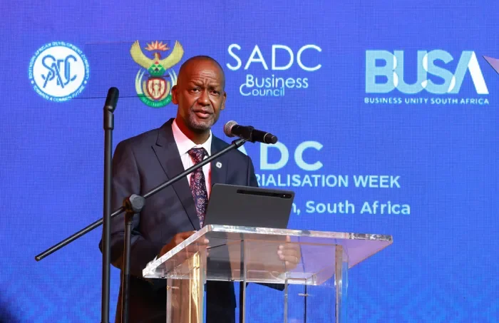 Southern Africa: Zimbabwean Arrested in Durban After Posing As Artist to Access SADC Summit