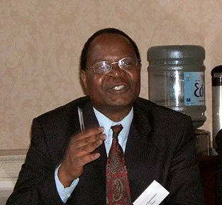 Malawi: No Beating About the Bush' - Experts Say Ansah's Exclusion From Cabinet Is Unconstitutional