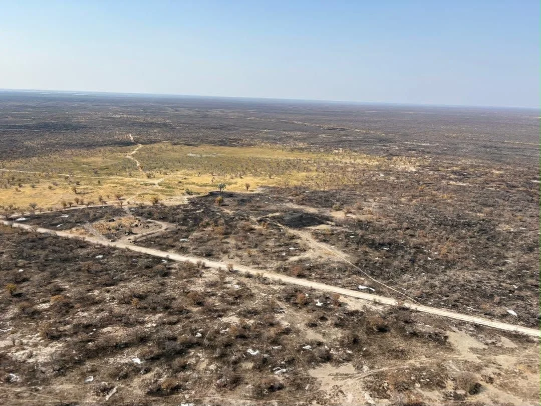 Namibia: Wildfire Scorches Over 2 000 Square Kilometres of Etosha