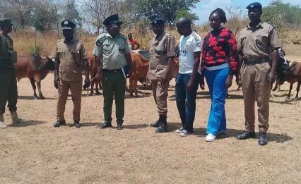 Malawi: Bright Mhango's Whiplash Week - Savage Govt Critique, Then a Staunch Defence of the Pre's Health