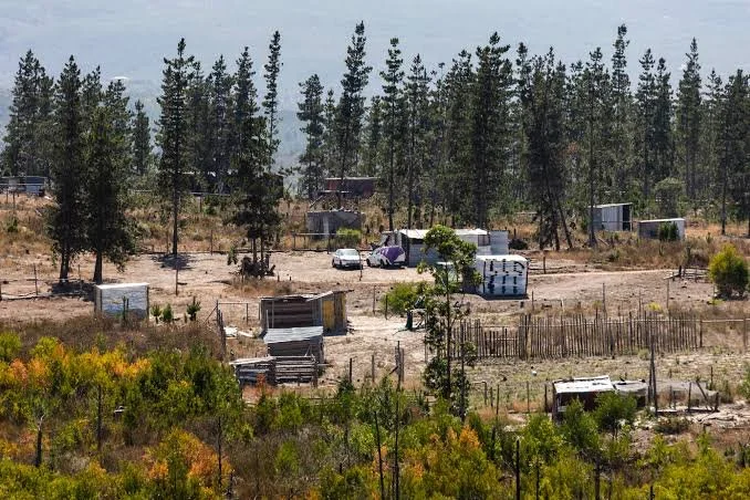 South Africa: Minister Goes to Court Over Knoflokskraal Settlement