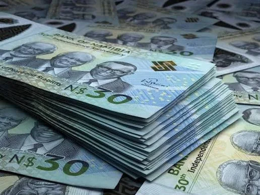 Namibia: Taxpayers Face N$11.8bnin State-Backed Debt