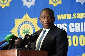 South Africa: Acting Minister Pushes Mkhwanazi for Hawks Top Job