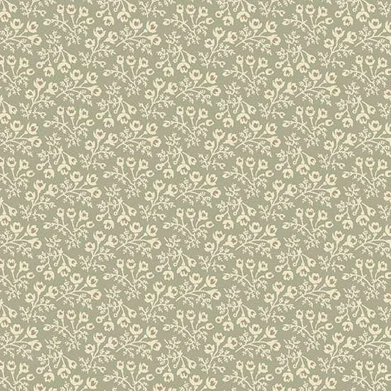 Woodruff Sage - Forest Glen