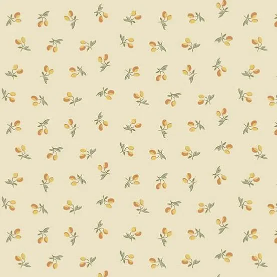 Peachy Cream - Laundry Line