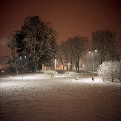 JARDIN-NOCTURNE-2.jpg
