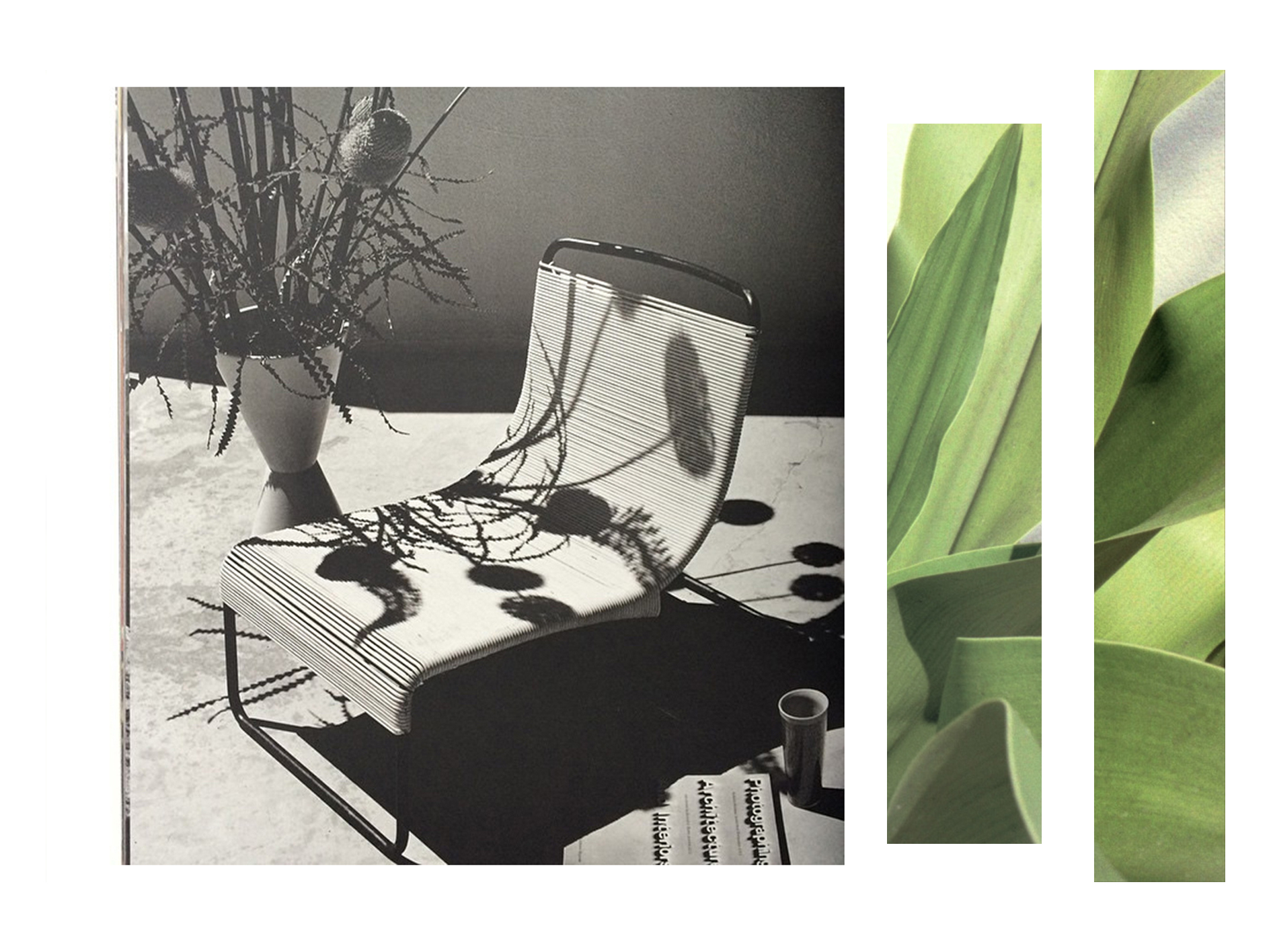 Collage by Aylea Skye/ Original Images by Unknown Sources