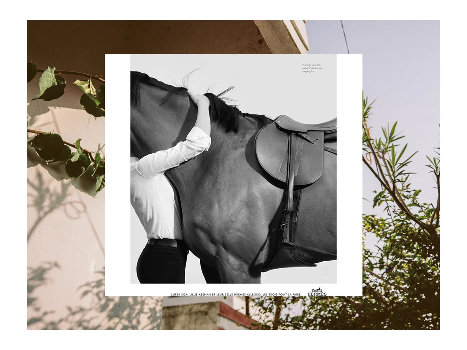 Collage by Aylea Skye/ Original Images by Hermés & Unknown Source